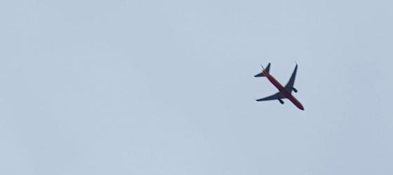 Flying High